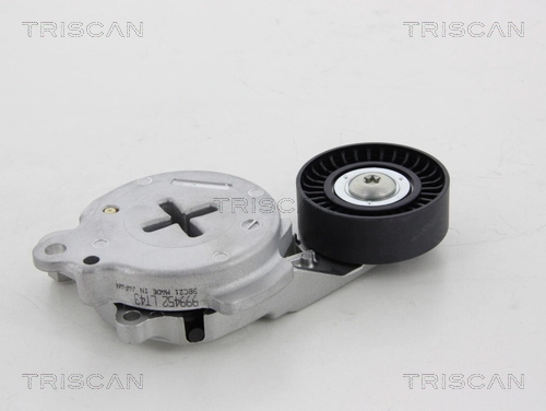 8641133007 Triscan