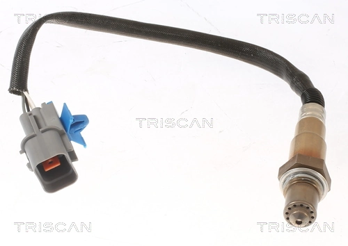 884543026 Triscan