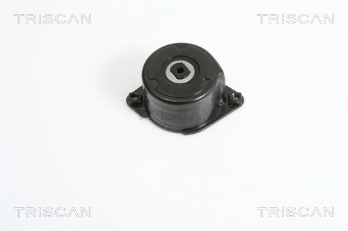  Tensor de correa poli V BMW 7 