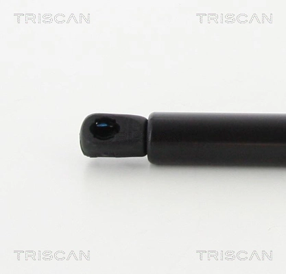 871016269 Triscan