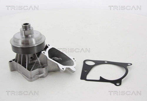 860011036 Triscan