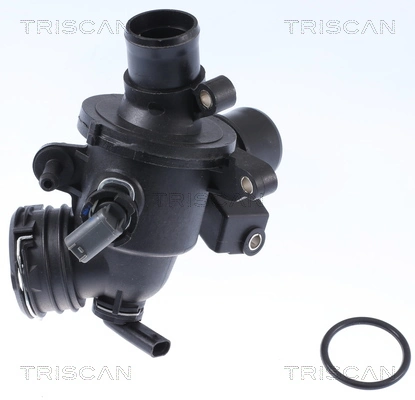 862034295 Triscan