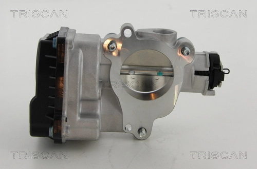 Comprar Cuerpo de mariposa Citroen Nemo  