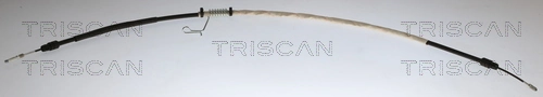 8140161198 Triscan
