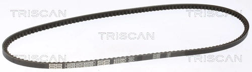 8640101050 Triscan
