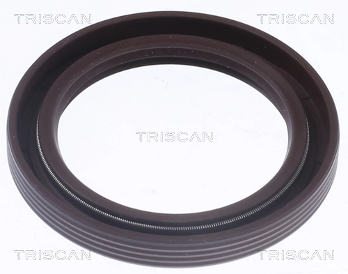 855010082 Triscan