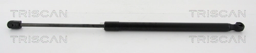 8710292001 Triscan