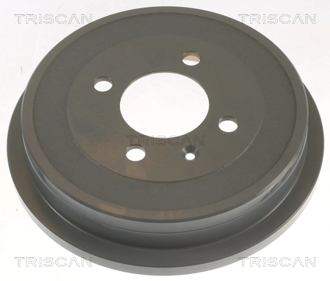 812029221C Triscan