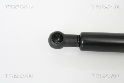 871010100 Triscan Muelle de capó 