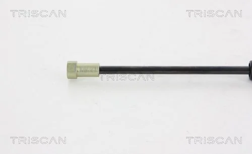  Amortiguador maletero Citroen C5 3