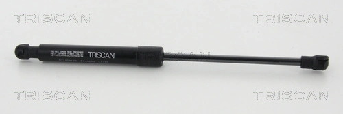 871024109 Triscan