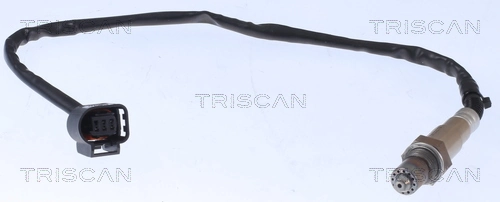 884511095 Triscan