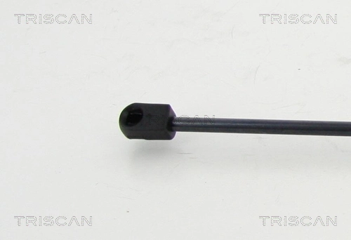 Muelle neumático, tapa delantera Skoda Octavia III A7 liftback (5E3, NL3, NR3) (2012 - 2021) precio, desde 10,95 EUR