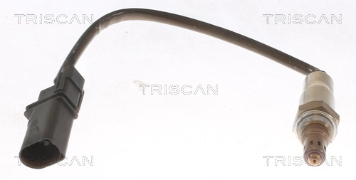 884524055 Triscan
