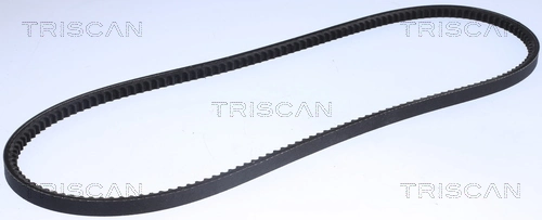 8640131250 Triscan