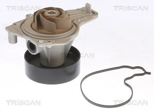 860011061 Triscan