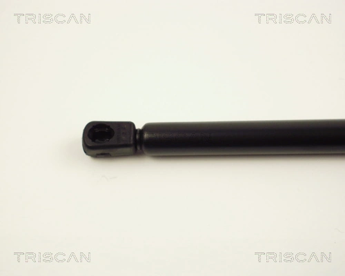 Comprar Amortiguador maletero Opel Corsa C F08, F68