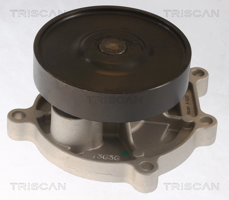 860011062 Triscan