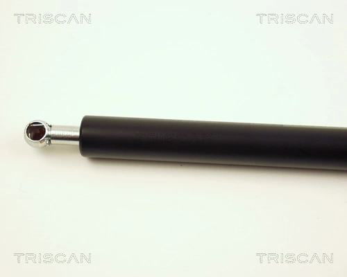 871025208 Triscan Amortiguador de porton