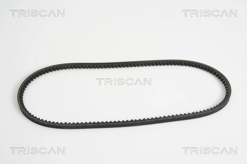 8640110950 Triscan