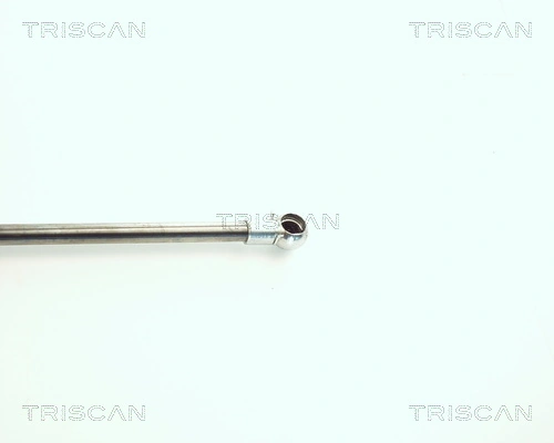 Amortiguador de maletero Triscan 871011216 precio, desde 11,73 EUR