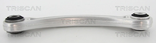 8500295139 Triscan