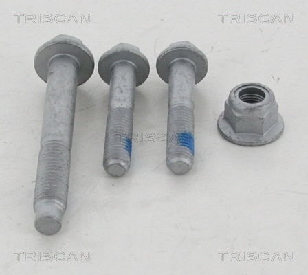 850010401 Triscan