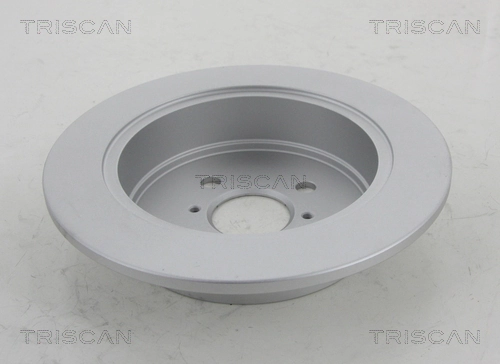Disco de freno trasero BYD 8160117 precio, desde 43,15 EUR
