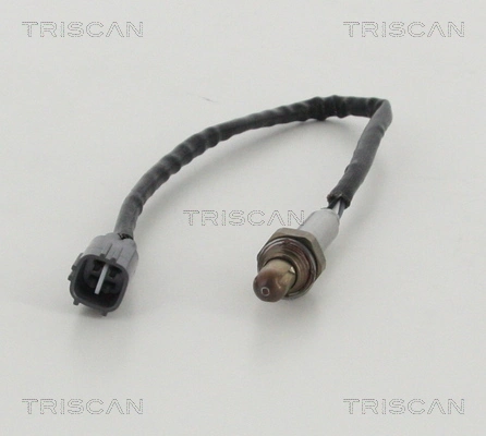 884513044 Triscan