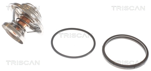 Comprar Termostato SsangYong Rexton I RJN