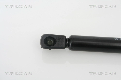GS0356 Magneti Marelli Amortiguador de porton
