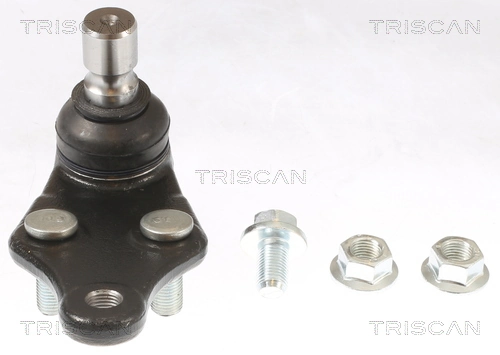 8500435081 Triscan