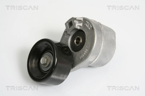 8641163012 Triscan