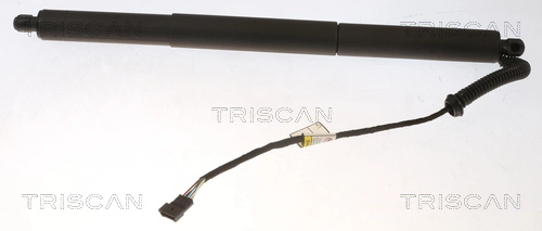 871011307 Triscan