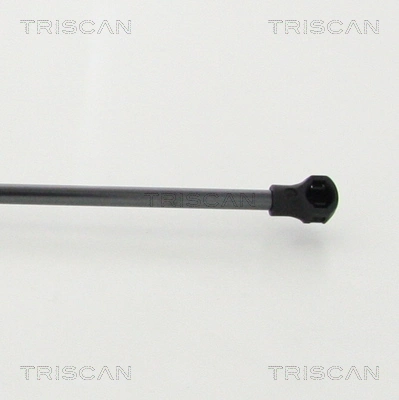 871025112 Triscan Muelle de capó 