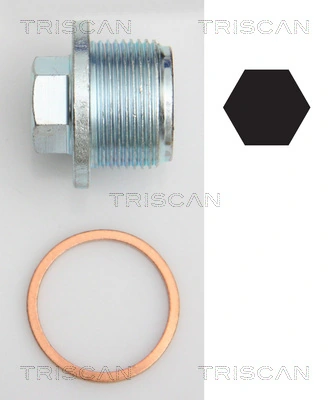95002908 Triscan