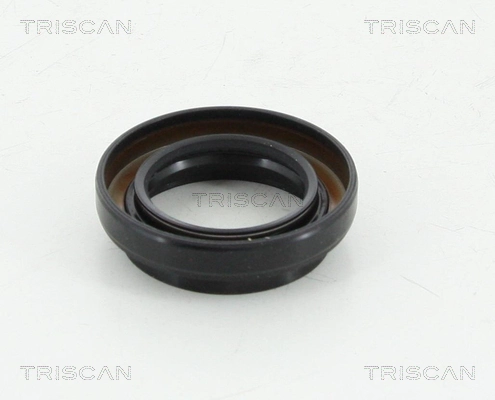 855010038 Triscan