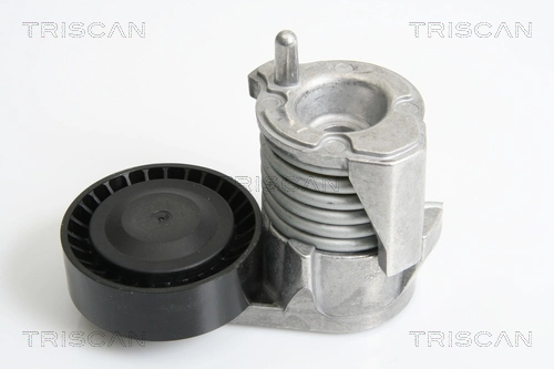 8641103029 Triscan