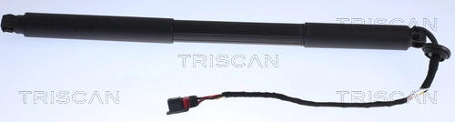 871027301 Triscan