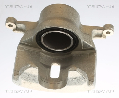 817514101 Triscan