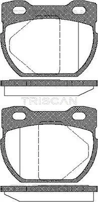 811017013 Triscan