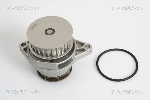 860029027 Triscan