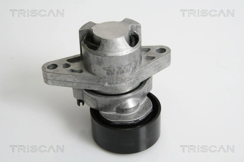 Tensor de la correa trapecial poli v Clio  sedán (1998-2008) original desde 42,35 €