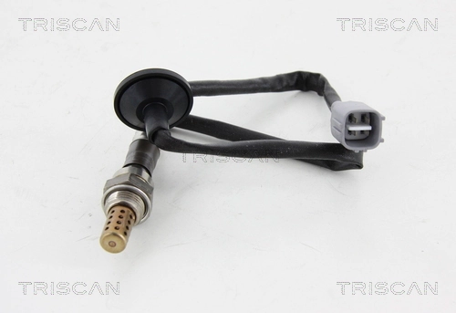 884513040 Triscan
