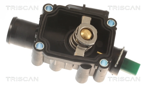 862025291 Triscan Caja del termostato