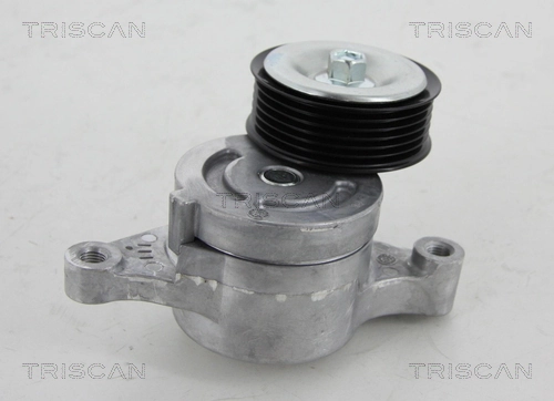 8641503009 Triscan