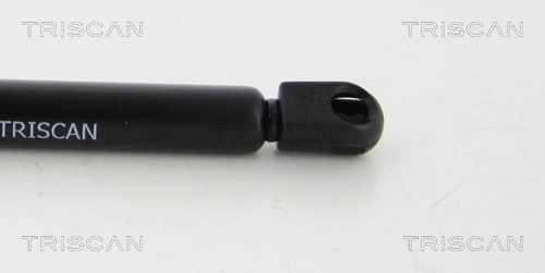 Muelle neumatico maletero para Volkswagen Passat (362)