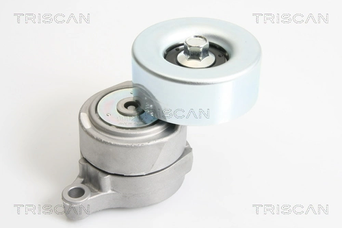 8641683001 Triscan