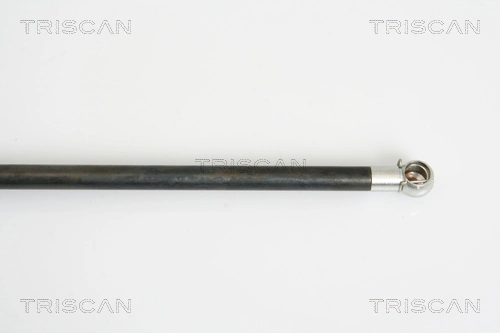 Muelle neumatico maletero Toyota Corolla 
