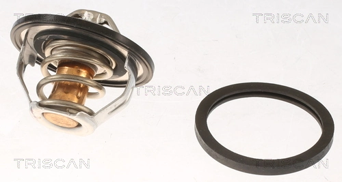 862013882 Triscan